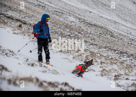 Un skieur et son chien faire les la plupart des conditions de ski sommet du Pen-y-fan dans le parc national de Brecon Beacons. Banque D'Images