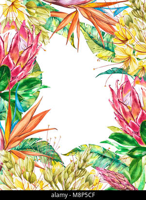 Vierge tropical pour le texte. Aquarelle Protea, Caesalpinia et fleurs de Strelitzia. Parfait pour un mariage ou une invitation, cartes de souhaits Banque D'Images