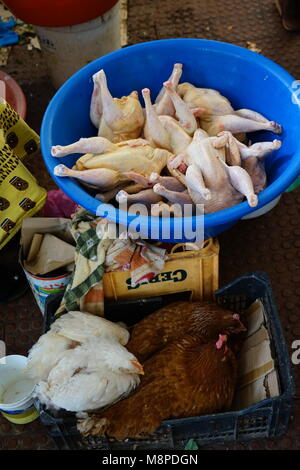 Poulet, poulet déplumé, marché de Assomada Assomada,, l'île de Santiago, Cap-Vert, Afrique Banque D'Images