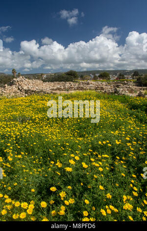 Le musée archéologique à Pegeia, Agios Georgious à l'extrémité sud de la péninsule d'Akemas, Paphos, Chypre de district Banque D'Images