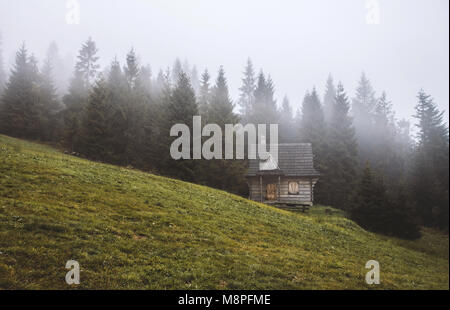 Pittoresque montagne solitaire traditionnel log cabin sur une pente raide prairie de la forêt de conifères sur un matin brumeux. Banque D'Images