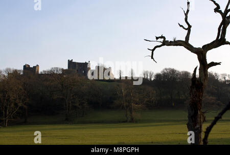 Château Llansteffan au-dessus de l'estuaire de la Towy, Carmarthenshire, Pays de Galles du Sud Banque D'Images