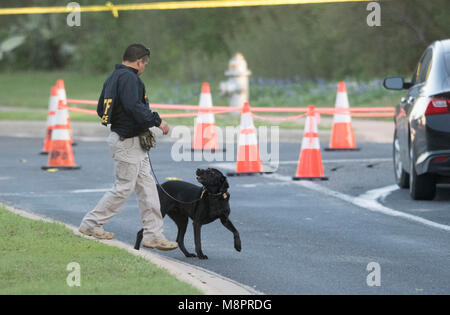 ATF agent traite chien renifleur de bombes pendant l'enquête sur les lieux d'un paquet à la bombe, le 4ème en 3 semaines à Austin, qui a explosé dans la nuit de dimanche sur une route sud-ouest Austin blessant deux hommes. Selon la police, un fil de déclenchement 'possible' a été utilisé pour faire exploser l'appareil. Banque D'Images