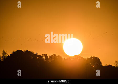 Pays de Galles Aberystwyth UK, le mardi 20 mars 2018 Royaume-Uni Météo : Le soleil se lève glorieusement sur l'équinoxe du printemps matin à Aberystwyth sur la côte ouest du pays de Galles. Avec jour et nuit de longueur égale, l'équinoxe du printemps, c'est aujourd'hui le début de 'Printemps' astronomiques Crédit photo : Keith Morris/Alamy Live News Banque D'Images