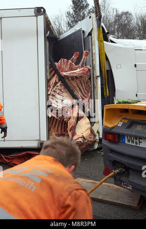 20 mars, l'Allemagne, Boppard : travailleurs de récupération tentative de droite un mastodonte exerçant son boeuf qui a renversé sur l'autoroute 61 (A61) d'autoroute près de Boppard. L'autoroute a été complètement fermée pendant plusieurs heures. Photo : Thomas Frey/dpa Banque D'Images