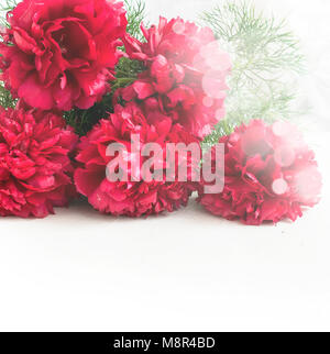 De superbes pivoines rouge sur fond blanc en bois rustique. Copy space Banque D'Images