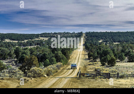 Pickup truck on dirt road in pinyon-juniper Woodlands près de Malpais Lava Flow, près de subventions, New Mexico, USA Banque D'Images