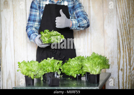 L'homme en tablier et gants détient un bol de salade verte fraîche Banque D'Images