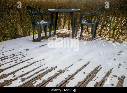 Scène d'hiver dans le jardin après 'mini bête de l'Est', mars 2018, West Sussex, UK Banque D'Images