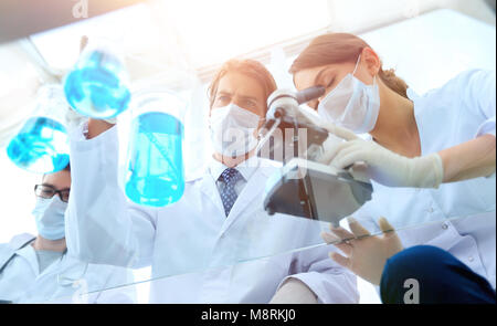 Les scientifiques qui effectuent des recherches dans un environnement de laboratoire Banque D'Images