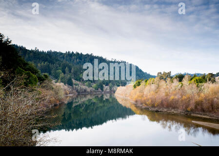 Vue panoramique du lac calme au milieu d'arbres et plantes contre ciel nuageux Banque D'Images