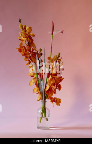 Close-up of flowers in vase contre fond rose Banque D'Images