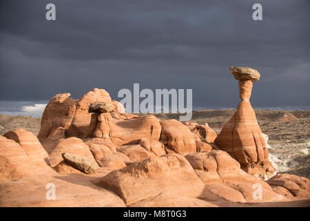 Toadstool hoodoos à Grand Staircase-Escalante National Monument dans l'Utah. Banque D'Images