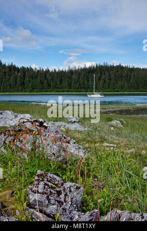 Voilier à l'ancre dans une crique près de Dundas Bay dans le sud-est de l'Alaska à l'été avec des fleurs sauvages en premier plan. Banque D'Images