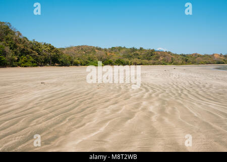 Paysage plage , littoral avec des plantes tropicales - Panama , Arrière-plan Banque D'Images