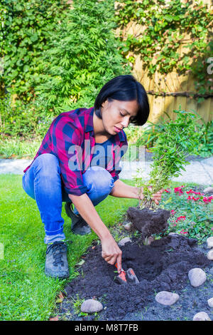 Femme européenne la plantation de plantes de basilic dans le sol du jardin Banque D'Images