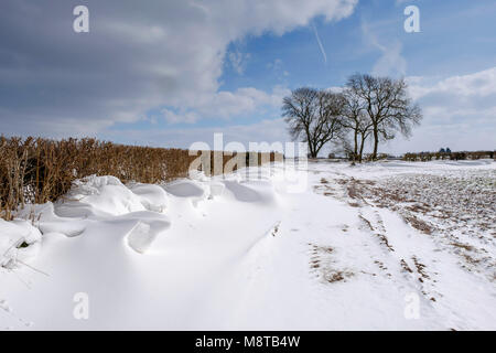 HEWELSFIELD EN HIVER Banque D'Images