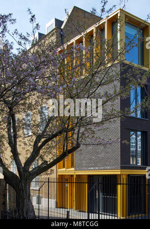 Outre moderne à l'arrière. William Gaitskell House, Londres, Royaume-Uni. Architecte : Burwell Deakins architectes, 2017. Banque D'Images