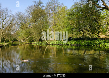 Park à Amsterdam en het voorjaar ; Park à Amsterdam au printemps Banque D'Images