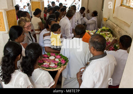 La population locale et aux pèlerins de prier et de donner des cadeaux de fleurs au Jaya Sri Maha Bodhi temple à Anuradhapura, Sri Lanka. Banque D'Images