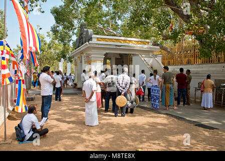 La population locale et aux pèlerins de prier et de donner des cadeaux de fleurs au Jaya Sri Maha Bodhi temple à Anuradhapura, Sri Lanka. Banque D'Images