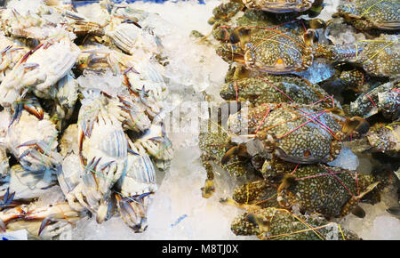 Tas de crabes frais dans le marché Banque D'Images