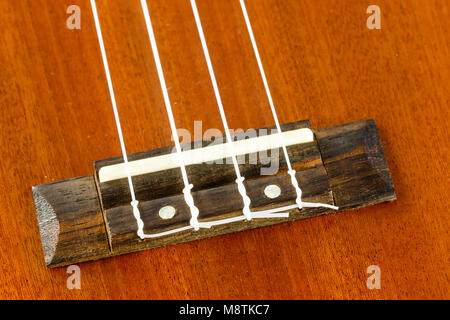 Fermer une partie de ukulele guitare hawaïenne Banque D'Images