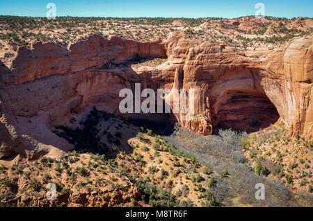 Maisons troglodytiques dans les grottes de Navajo National Monument Banque D'Images