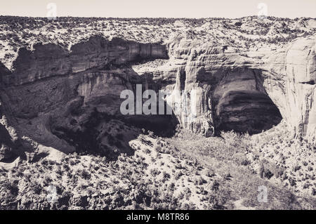 Maisons troglodytiques dans les grottes de Navajo National Monument Banque D'Images