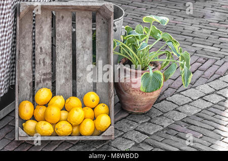 Une boîte en bois avec des citrons à l'aide d'un pot de fleurs à côté de lui Banque D'Images