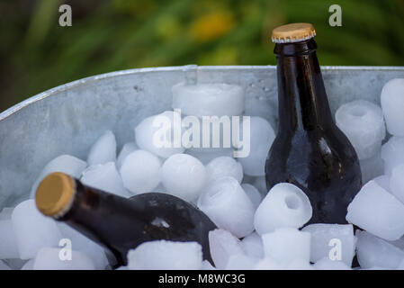 Libre de bouteilles de bière brune en acier galvanisé à remous avec des cubes de glace en été Banque D'Images