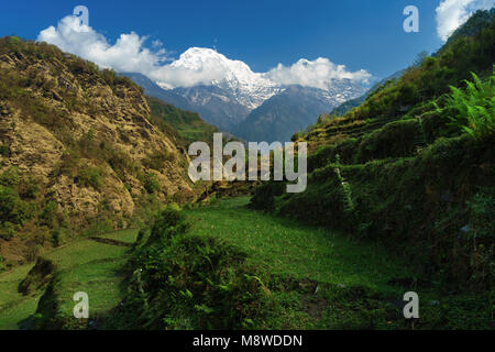 Annapurna Sud vu du sentier de randonnée entre et Landruk Ghandruk, Modi Khola, Népal. Banque D'Images