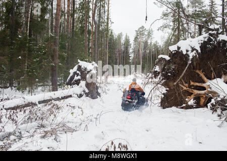 Bûcheron Proffesional tenir scie à main. Le port de vêtements de protection d'hiver à l'aide de tronçonneuse. nettoyer les arbres tombés Banque D'Images