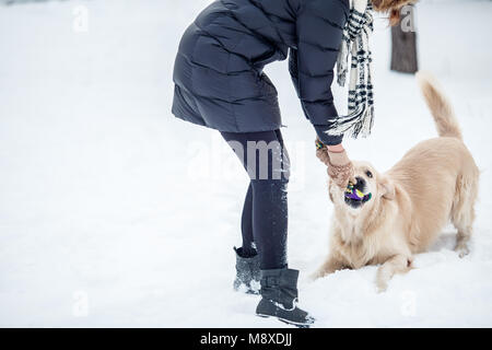 Photo de fille jouant avec le Labrador dans le parc enneigé Banque D'Images