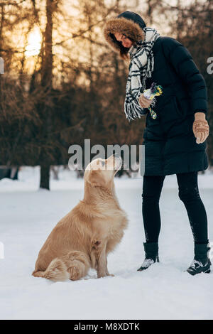 Image des femmes avec le labrador dans winter park pour marcher Banque D'Images