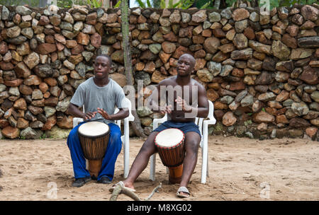 Homme africain jouant sur la batterie, le bongo la façon traditionnelle de la musique, ils effectuent aussi pour les touristes dans les lodges Banque D'Images