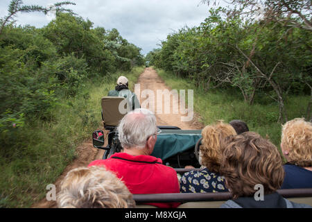 Les gens en voiture de safari dans le parc national Kruger à la grande 5 animaux sauvages, guide par un ranger Banque D'Images
