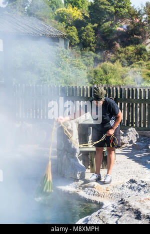 Nouvelle zélande Rotorua Nouvelle zélande Rotorua la cuisson dans l'ondulation ou Parekohuru meurtrière piscine thermale whakarewarewa rotorua nouvelle zélande île du nord Banque D'Images