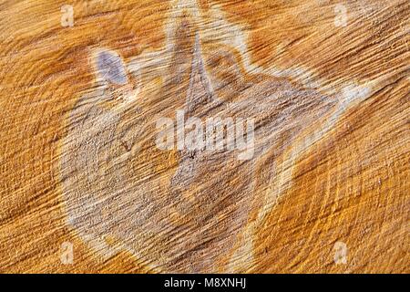 La fin de grumes de bouleau (close-up) Banque D'Images