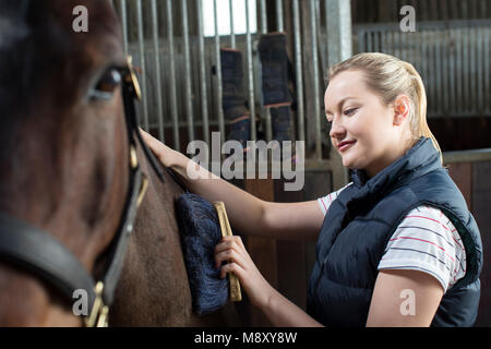 Femme propriétaire de cheval avec brosse de toilettage Stable Banque D'Images