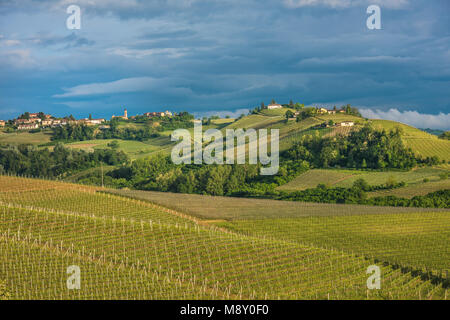 Les vignobles des Langhe, Piémont, UNESCO World Heritage Banque D'Images