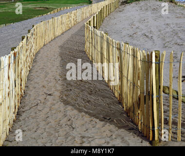 Clôtures sur les dunes de sable de Dawlish Warren réserve naturelle. Banque D'Images