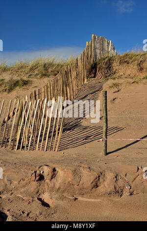 Clôtures sur les dunes de sable de Dawlish Warren réserve naturelle. Banque D'Images