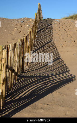 Clôtures sur les dunes de sable de Dawlish Warren réserve naturelle. Banque D'Images