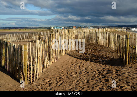 Clôtures sur les dunes de sable de Dawlish Warren réserve naturelle (en regardant vers Exmouth). Banque D'Images