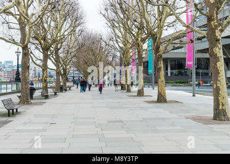 Une avenue de London plane Trees Platanus x acerifolia sur la rive sud à Londres, Royaume-Uni. Banque D'Images