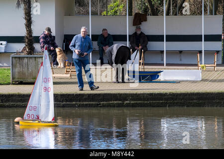 Membre de l'Yacht Club Modèle Newquay Trenance au lac de plaisance contrôlant son modèle bateau de course Newquay Cornwall. Banque D'Images