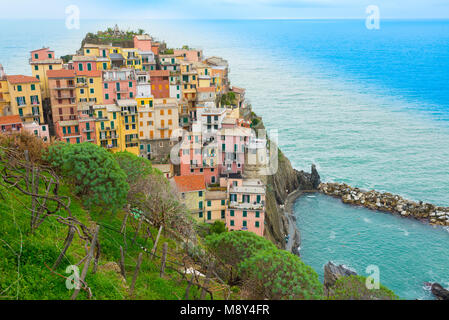 Le petit village de Manarola italien traditionnel avec ses maisons colorées et les vignobles aujourd'hui une destination touristique populaire dans la région de Cinque Terre, ligurie, italie Banque D'Images