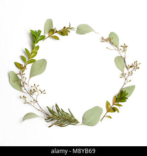 Cercle rond cadre fait de branches vertes et de feuilles sur fond blanc. Mise à plat. Banque D'Images