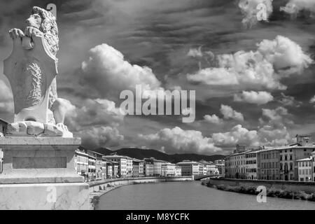Le noir et blanc superbe vue sur le ciel au-dessus du centre historique de Pise, Toscane, Italie Banque D'Images